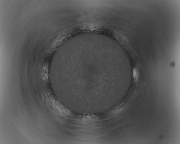 X0000116121203200912071338