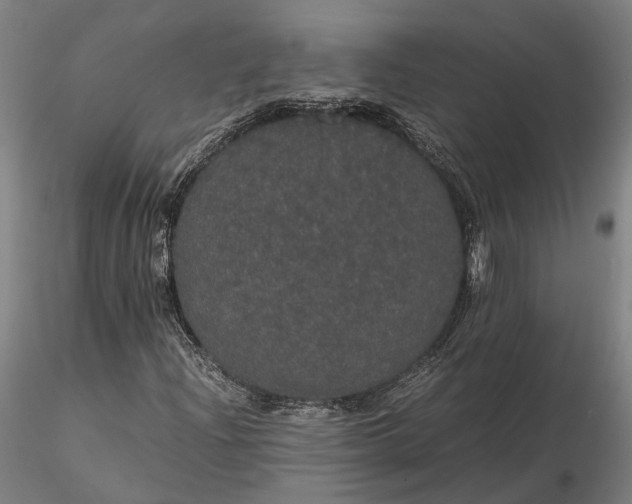 X0000116121204200912071338