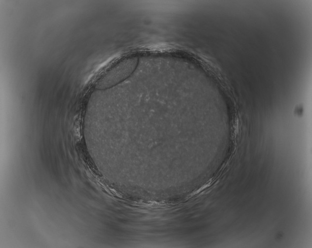 X0000116121205200912071338