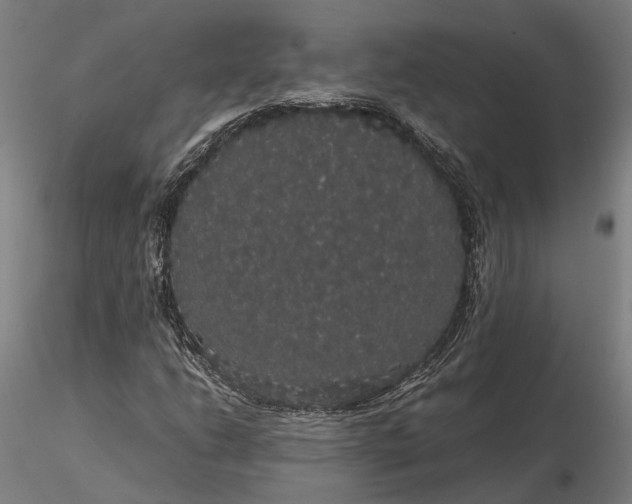 X0000116121206200912071338