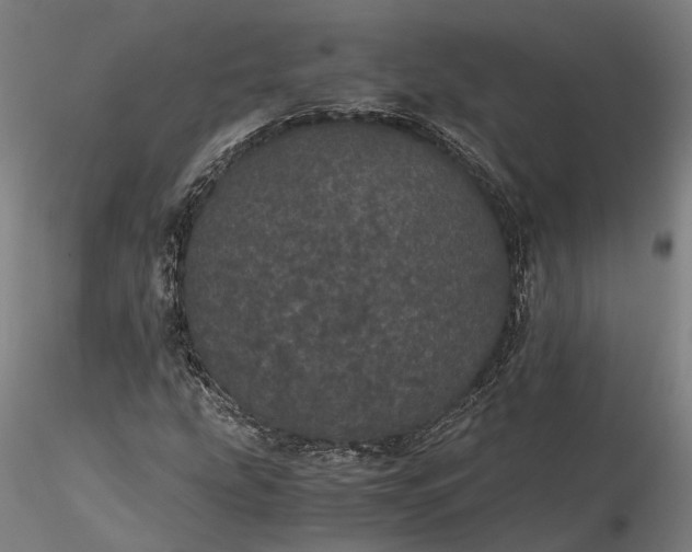 X0000116121207200912071338