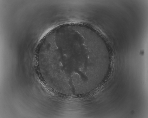 X0000116121208200912071338