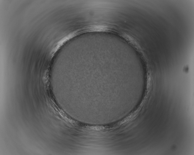 X0000116121210200912071338