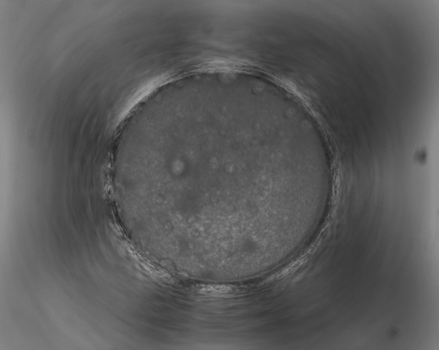 X0000116121211200912071338