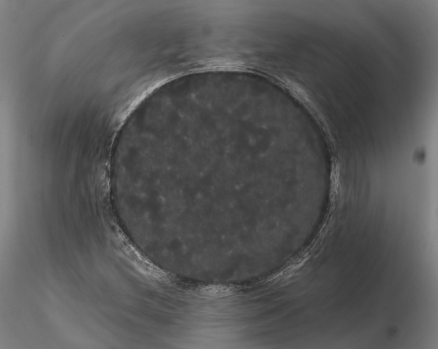 X0000116121212200912071338