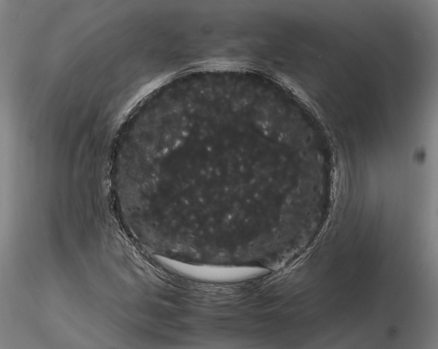 X0000116121213200912071338