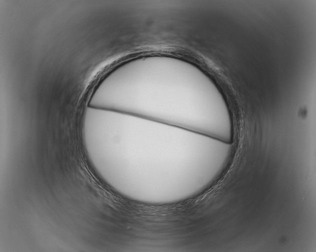 X0000116121214200912071338