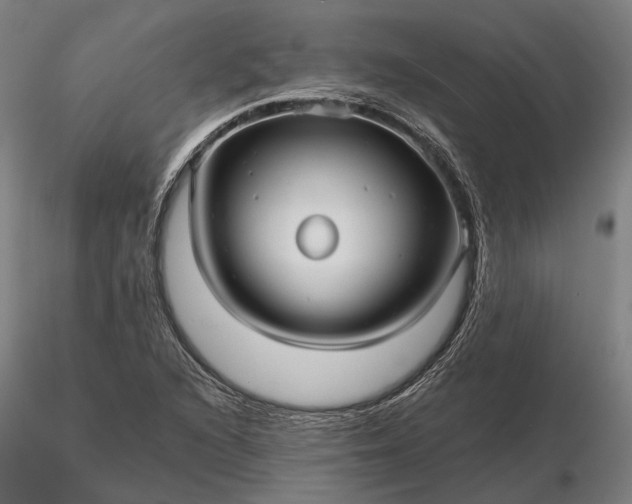 X0000116121216200912071338