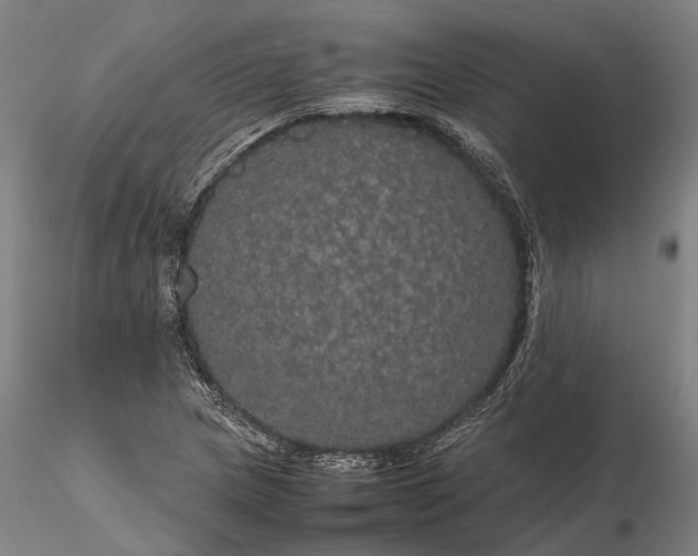 X0000116121217200912071338