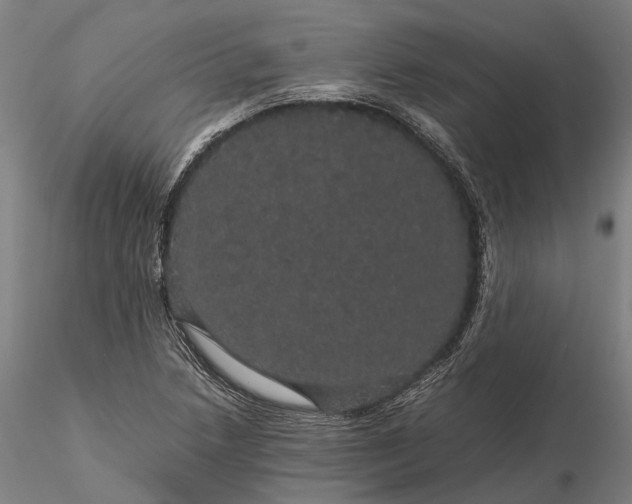 X0000116121218200912071338