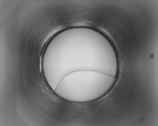 X0000116121219200912071338