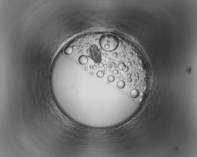 X0000116121220200912071338