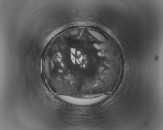 X0000116121221200912071338