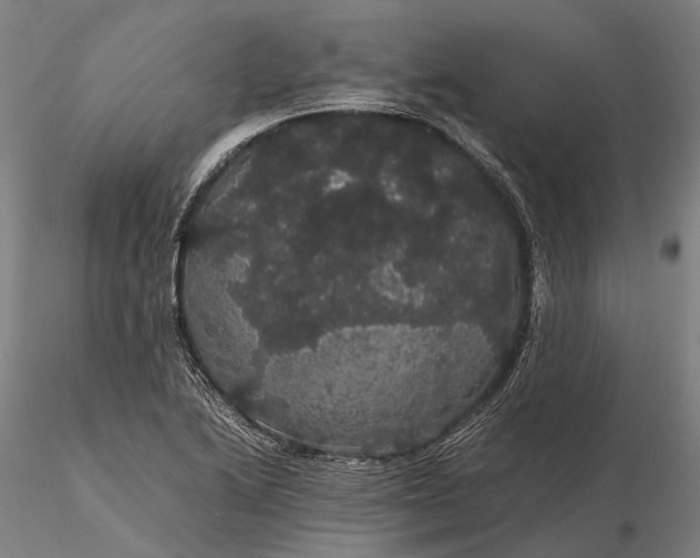 X0000116121222200912071338