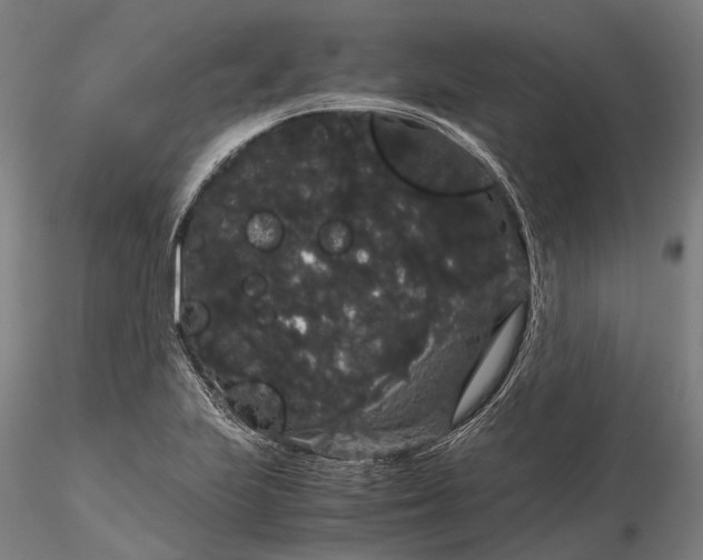 X0000116121223200912071338