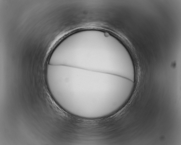 X0000116121224200912071338