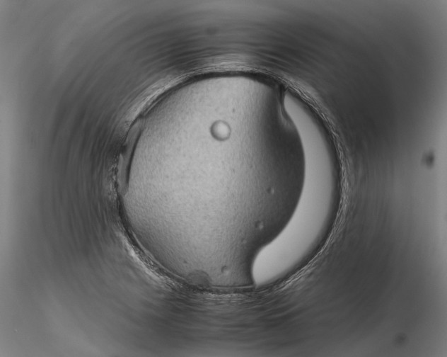 X0000116121225200912071338