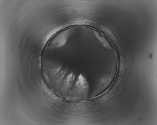 X0000116121226200912071338