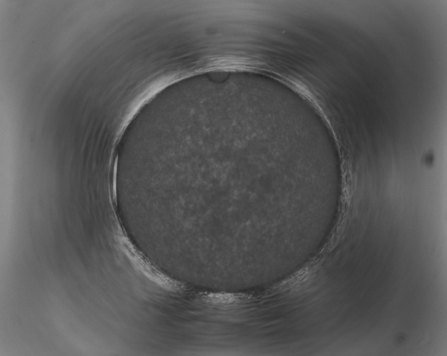 X0000116121227200912071338