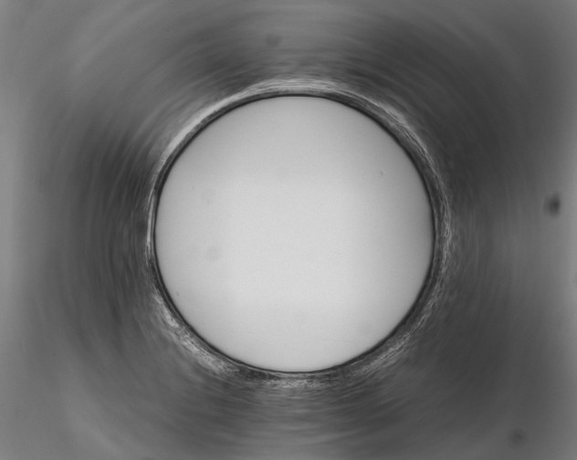 X0000116121228200912071338