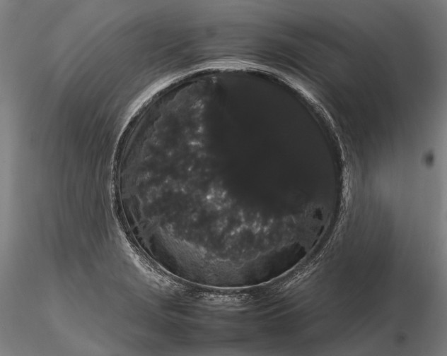 X0000116121229200912071338