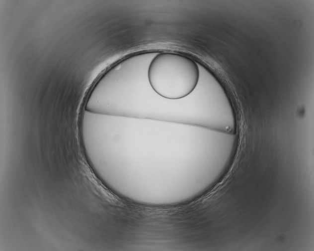 X0000116121230200912071338