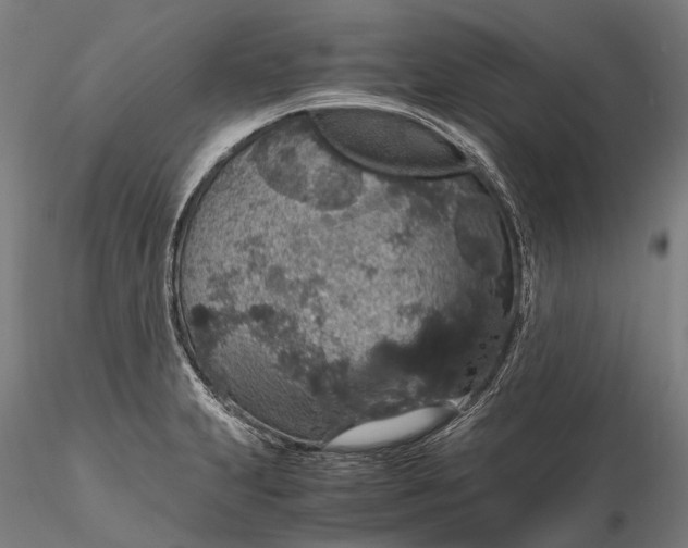 X0000116121231200912071338