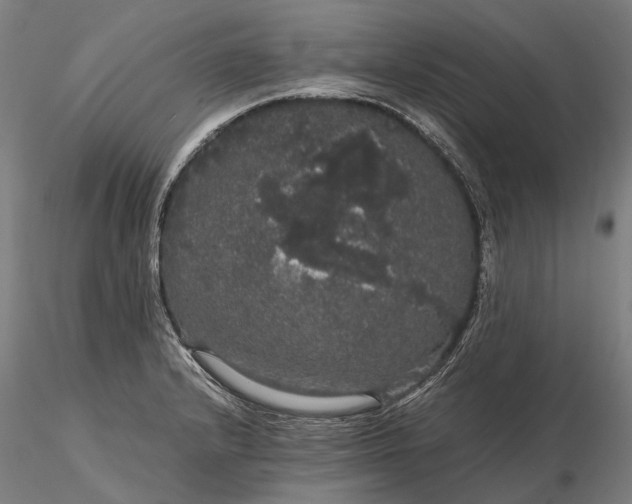 X0000116121232200912071338