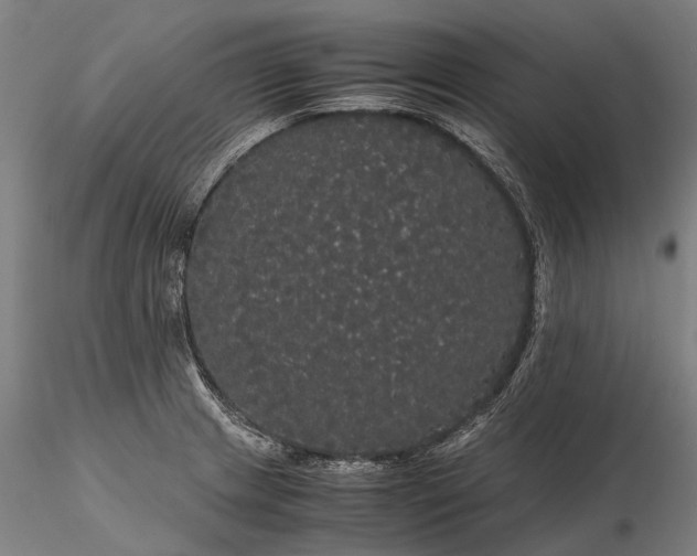 X0000116121233200912071338