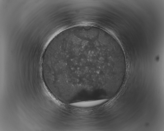 X0000116121235200912071339