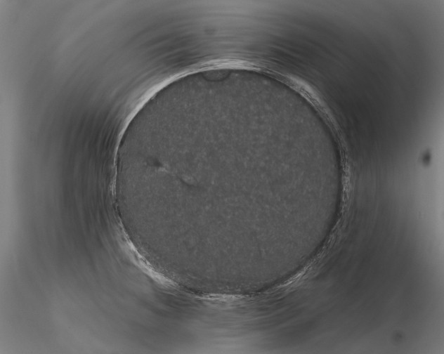 X0000116121236200912071339