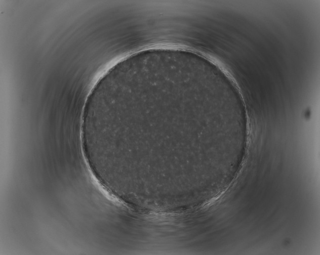 X0000116121237200912071339