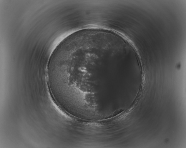 X0000116121239200912071339