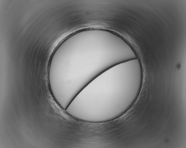 X0000116121240200912071339