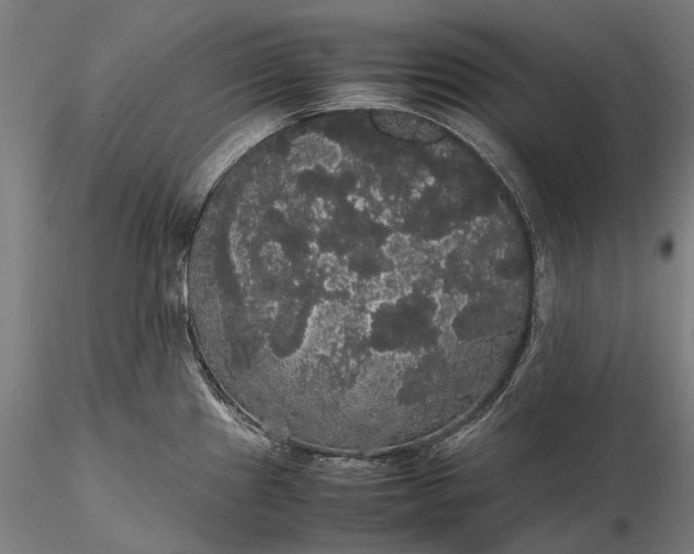 X0000116121241200912071339