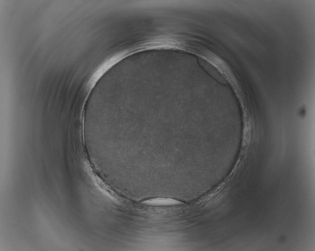 X0000116121242200912071339