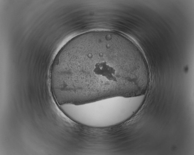 X0000116121243200912071339