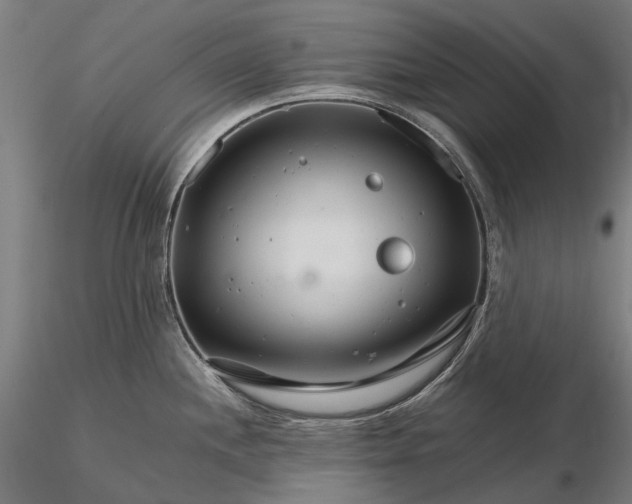 X0000116121244200912071339