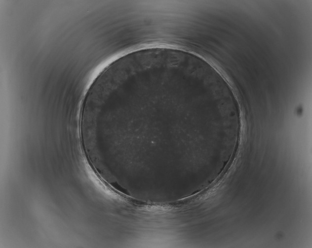 X0000116121246200912071339