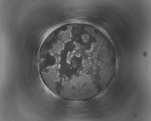 X0000116121247200912071339