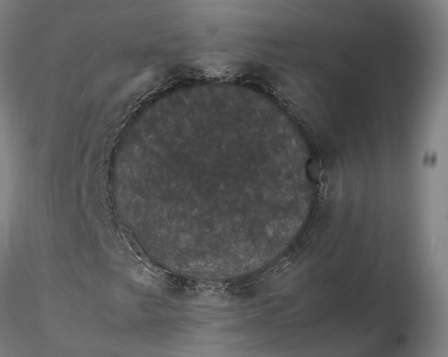 X0000116121249200912071338