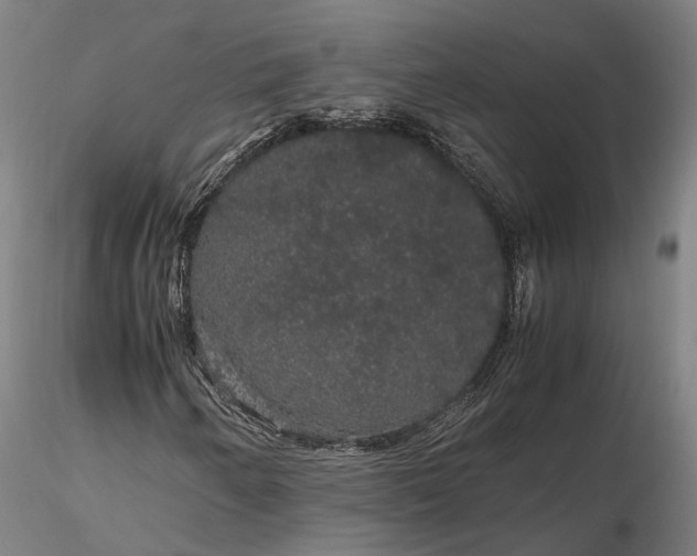 X0000116121250200912071338