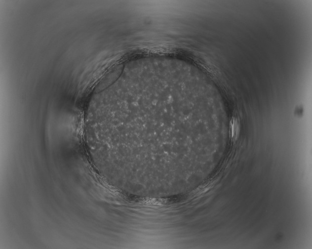 X0000116121251200912071338