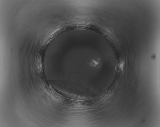 X0000116121252200912071338