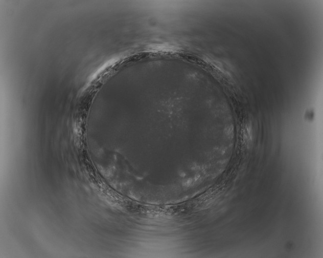 X0000116121254200912071338