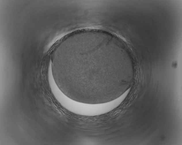 X0000116121255200912071338