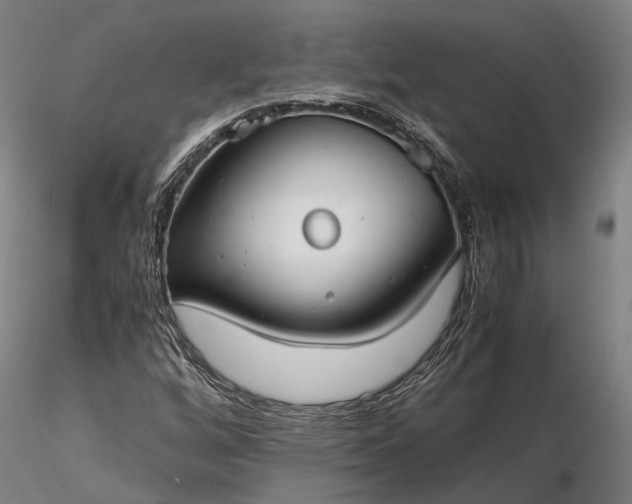 X0000116121256200912071338