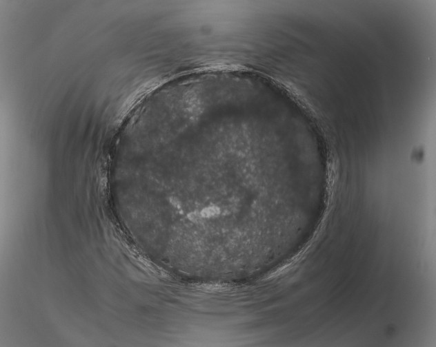 X0000116121257200912071338