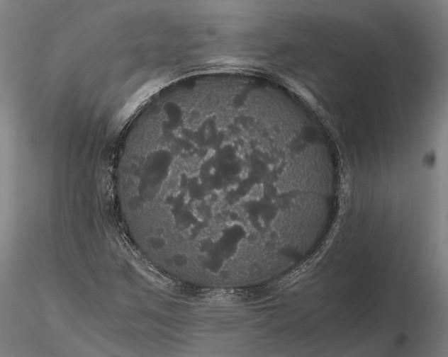 X0000116121259200912071338