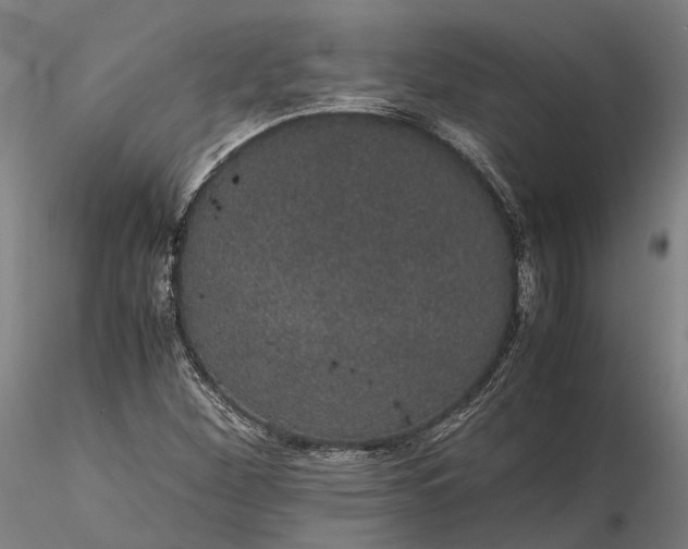 X0000116121260200912071338